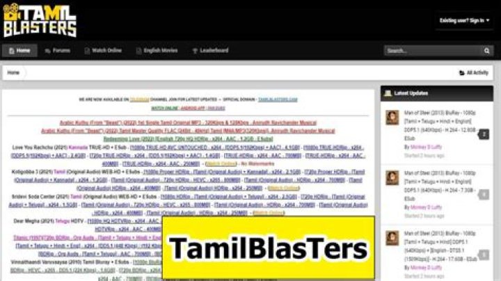 TamilBlasters.net: A Comprehensive Guide to Understanding the Platform