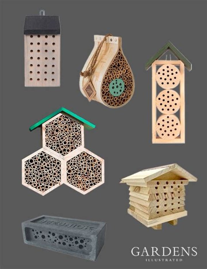 Bee.Homes: Revolutionizing the Way We Think About Housing