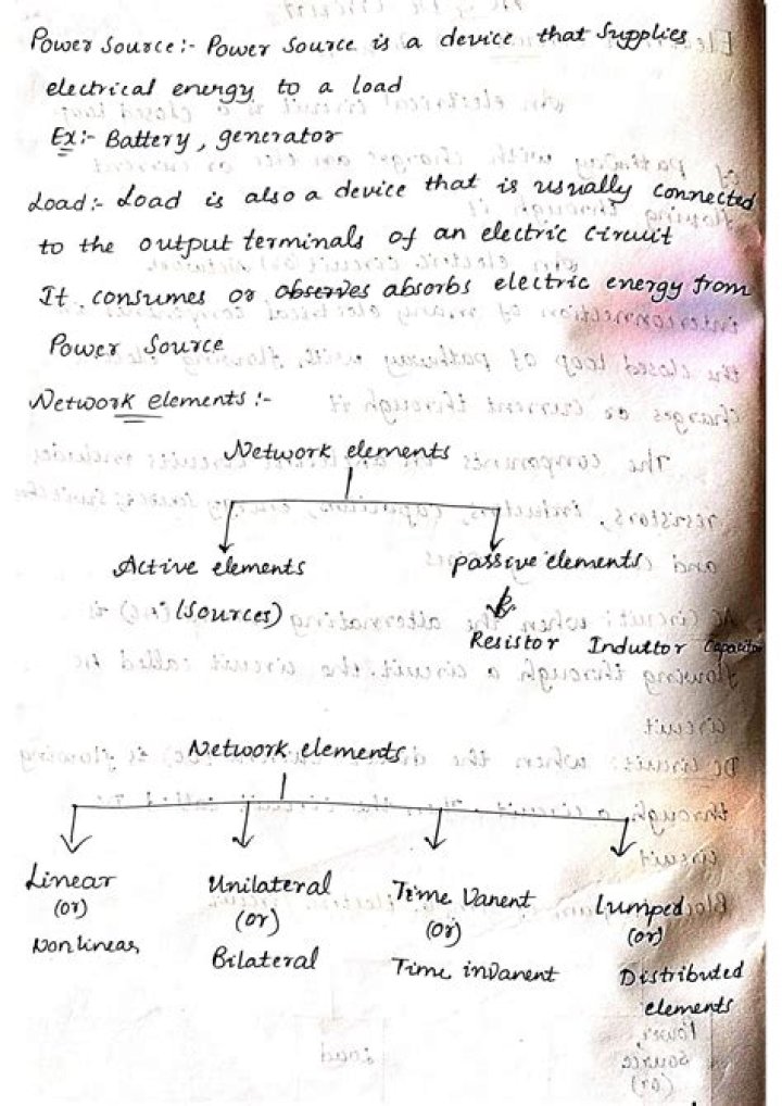 Unveiling the Fascinating World of Bees: A Comprehensive Guide