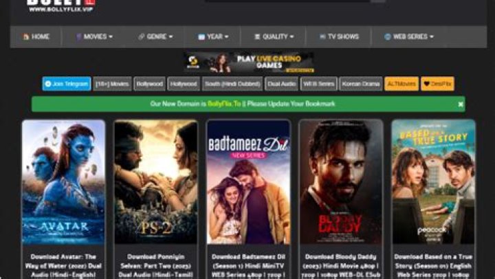 BollyFlix Hub: Your Ultimate Destination for Bollywood Entertainment