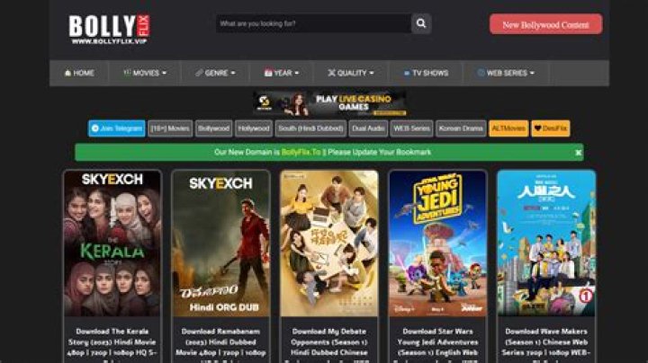 Bollyflix.vip: The Ultimate Guide to Streaming Bollywood Movies