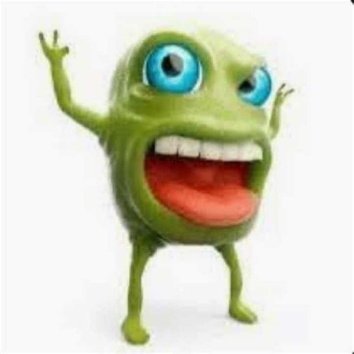 Bondo Reems: The Ultimate Guide to Understanding Its Benefits and Applications