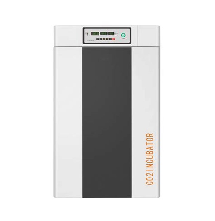 Is GoreCenter Safe? A Comprehensive Analysis of Online Safety and Security