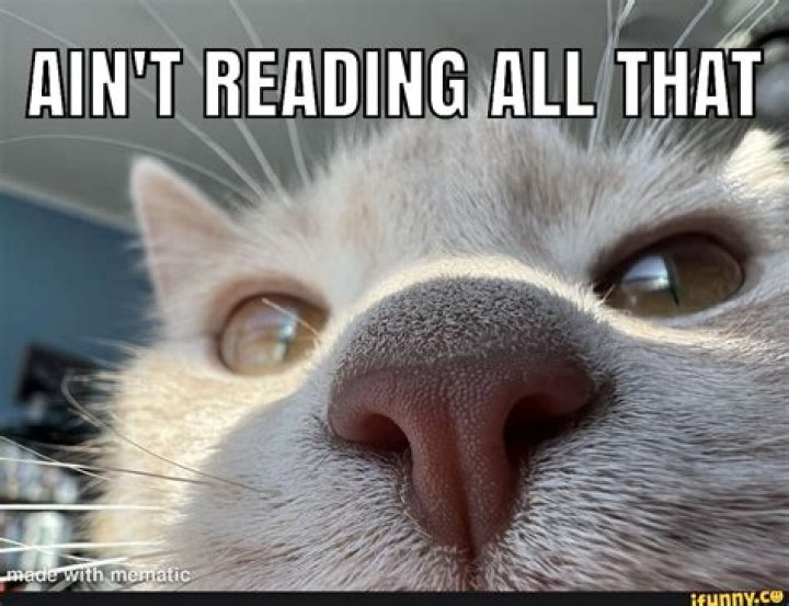 I Ain't Reading All That Meme: The Ultimate Guide to Understanding and Using This Viral Trend