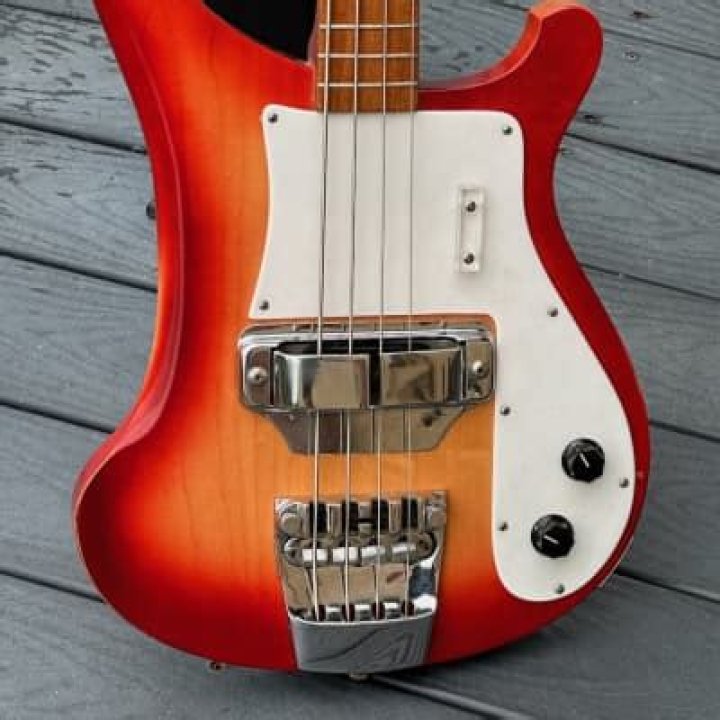 Lemmy Rickenbastard: The Legendary Voice of Rock and Roll