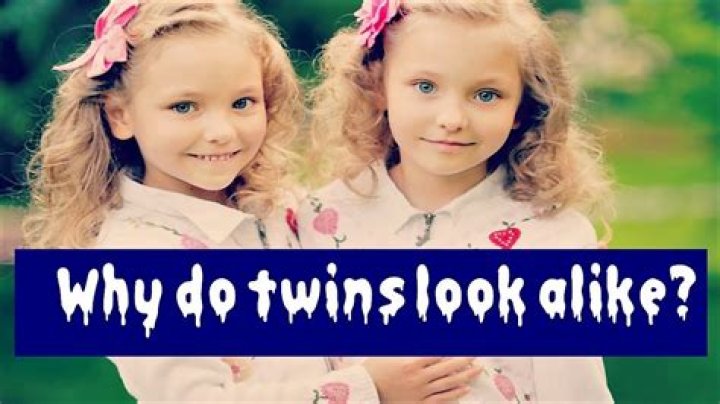 Looks Like Twins: A Comprehensive Guide to Understanding and Appreciating Twin Resemblance