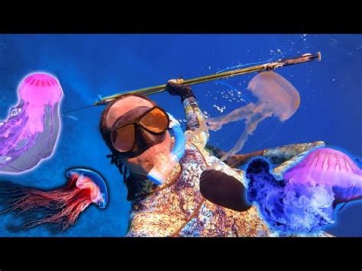 Michael Himawan Jellyfish: A Comprehensive Look Into the Life, Achievements, and Legacy