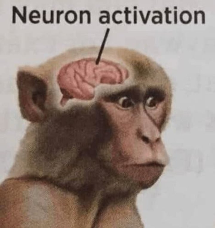 Neuron Activation Meme: The Ultimate Guide to Understanding and Creating Viral Content