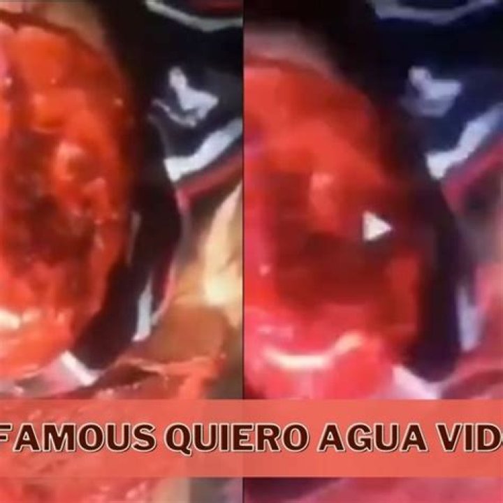 Quiero Agua Video: The Story Behind the Viral Sensation and Its Impact on Social Media