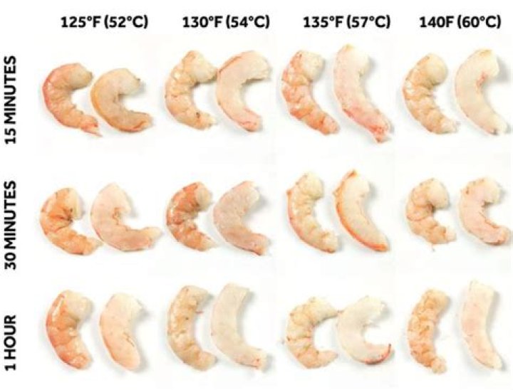 Shrimp Temp: The Ultimate Guide to Exploring the World of Shrimp Temples