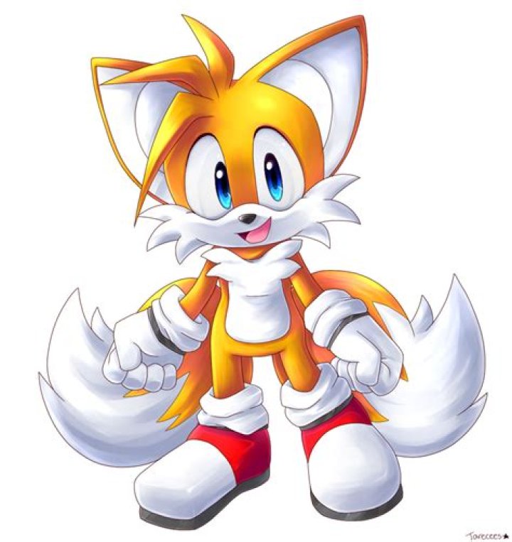Sonic 1 Tails: A Comprehensive Exploration of the Iconic Character