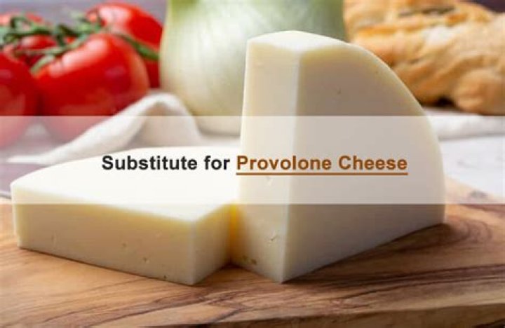 Delicious Alternatives: The Ultimate Guide to Substitute for Provolone Cheese