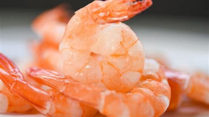 The Ultimate Guide to Understanding the Temperature of Shrimp