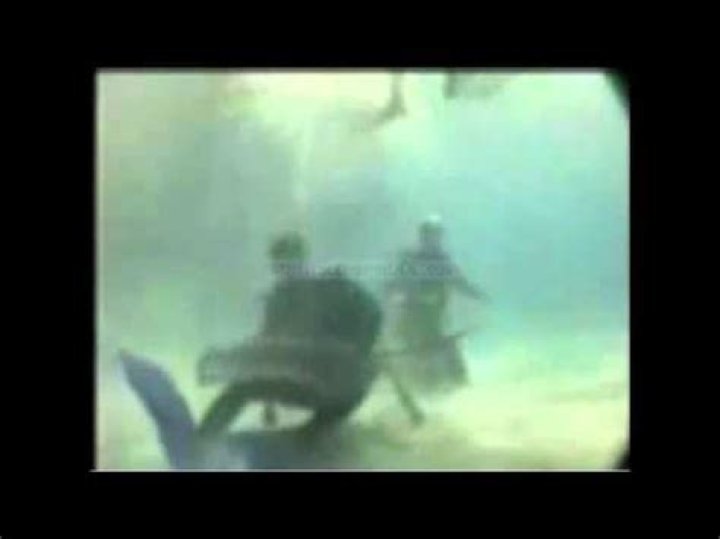 Steve Irwin's Death: A Detailed Account and Legacy of the Crocodile Hunter