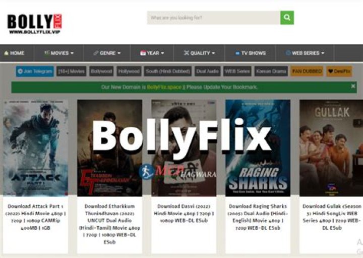 Unveiling the Truth About www.bollyflix.com: Is It Safe and Legal?